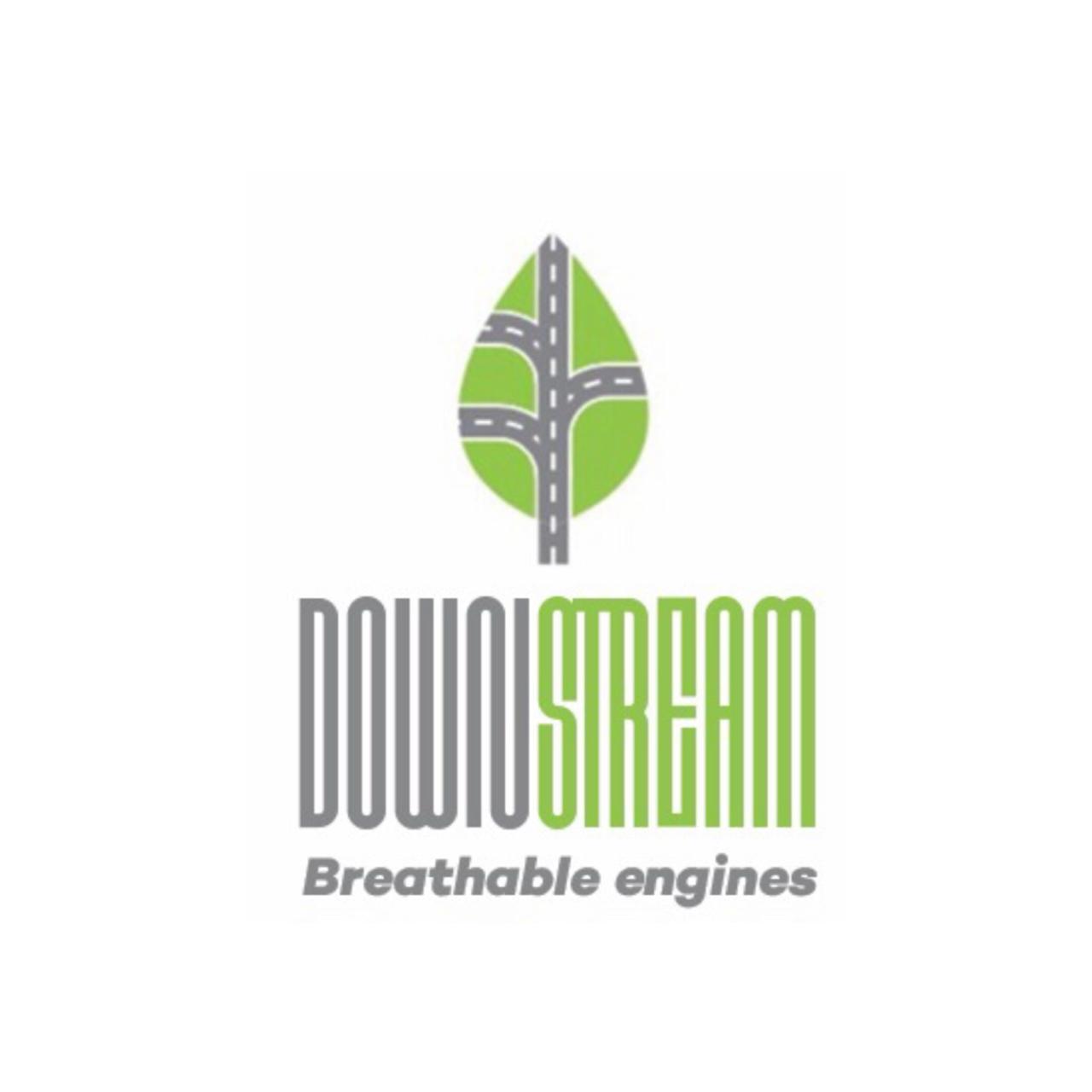 Down Stream logo